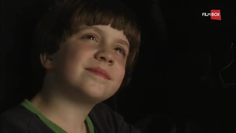 Укротитель поездов (2008)