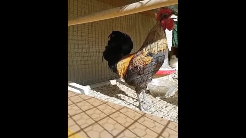 100% выгорание на работе