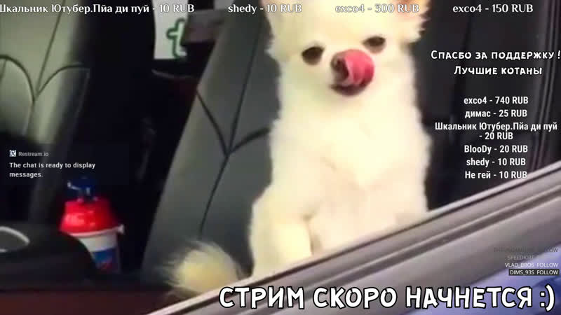 Стрим дейз headhunters закажи музыку ! читаем чат/ dayz standalone / подпишись взаимно