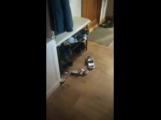 Vid 20201015 132644 mp4