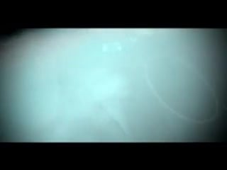 Concord dawn seassons