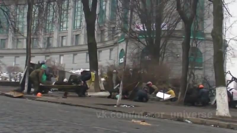 Как уходила небесная ското бойня убой скота в киеве на институтской