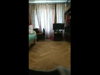 Vid 20200405 134532 mp4