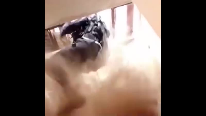 Это гениально