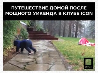 Путешествие домой после уикенда в клубе icon