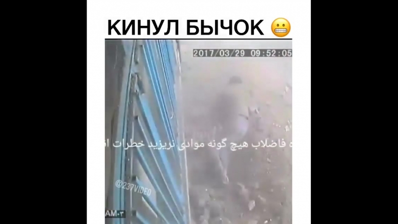 Кинул бычок