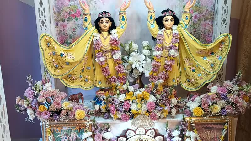 Эксклюзивчик сняли скрытой камерой что творится на кухне шри кришны