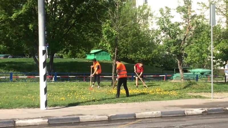 ✔ особое мнение вот так косят траву в москве