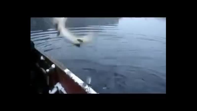 Хорошая подсечка