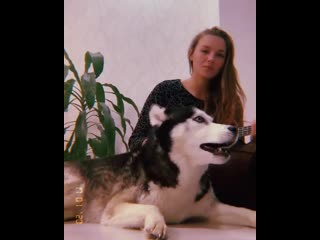 Tomat i tasia video 1579361022207 mp4