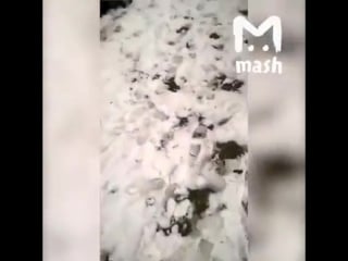 Дагестанцы унижают одноклассницу