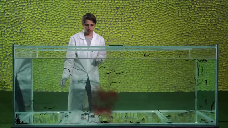 Проверяем, чувствует ли пияа молодые жертвы