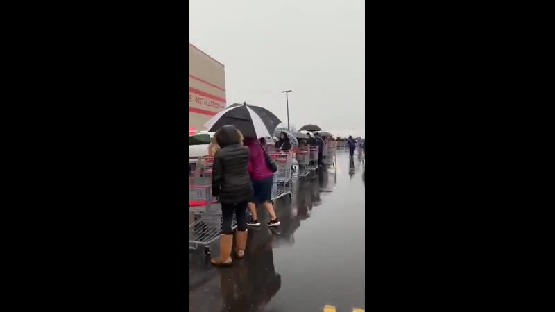 Рынок всё наладит, говорили они без паники, мэйд эмерика грэйт