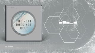 Fir branches are beautiful as flowers