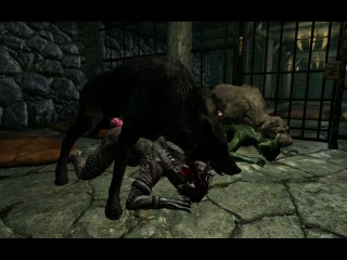 Как можно развлечься с волком и собакой