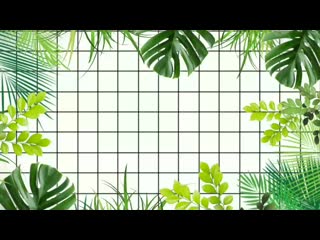 Без названия 1 2560x1440 15,12mbps 2019 05 28 08 43 45 mp4