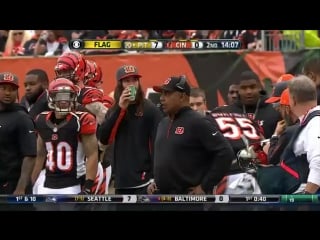 Steelers antonio brown in the midst of a scuffle with bengals