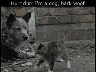 Hurr durr i'm a dog, bark woof