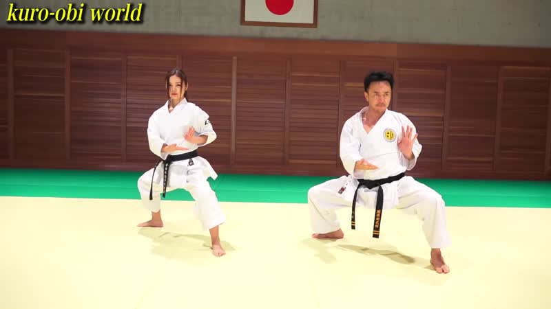 Kata comparison, shito ryu and gojyu ryu, seienchin