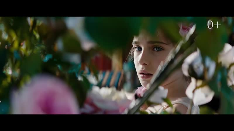 «приключения реми»