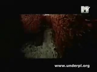 Reamonn waiting there for you