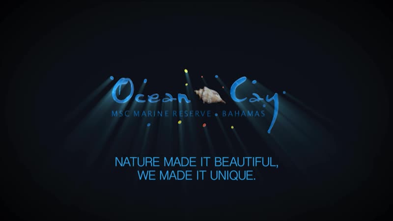 Ocean porn video – Ocean cay
