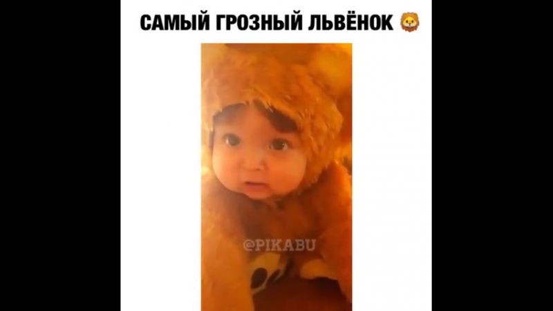 Какой львенок 😍