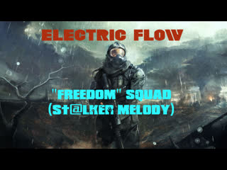 Electric flow "freedom" squad (st@lker melody)