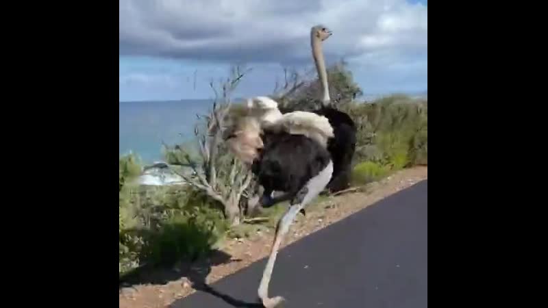 Поучаствовал в велогонке