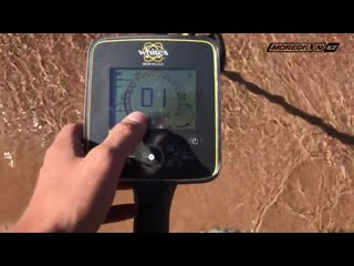 Металлоискатель white's mxsport