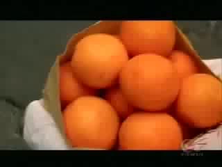 Yum! yum! orange change my lifе