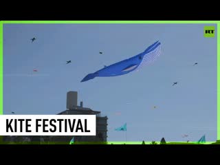 Dozens of kites color the sydney sky