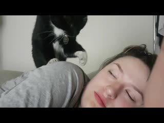 Every morning my wife and i get booped awake