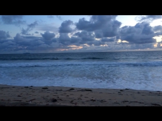 Coronado beach