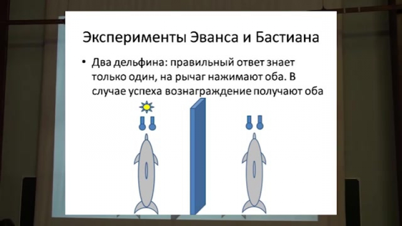 Киты и дельфины нечеловеческий интеллект филатова о а