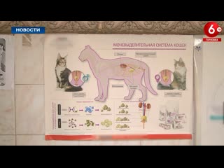 Үйде жалғыз үш адаммен порно көру