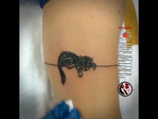 Котей (bronson art)