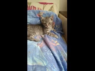 Video 20201004 121027 mp4