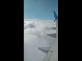 Video 20200214 133817 mp4