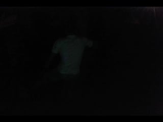 Чайки жирные)))))))))