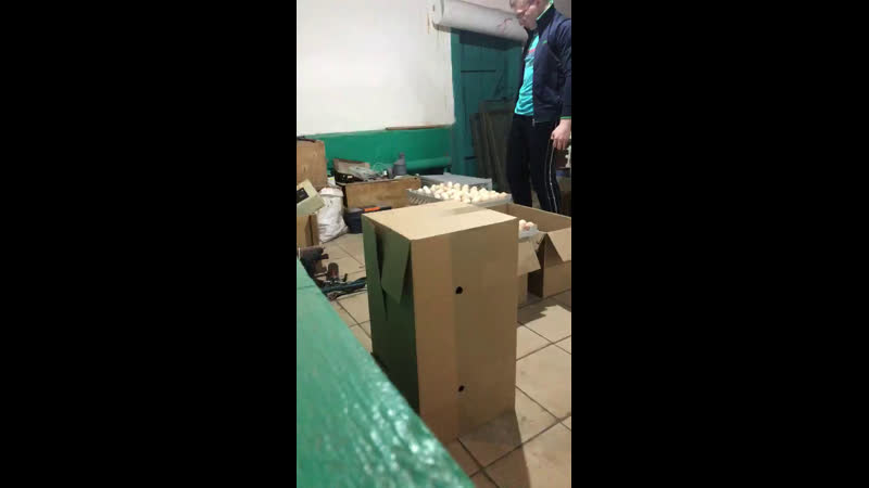 Live кфх багаманов линар альфретович