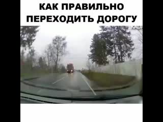 Video zhest 20191217 5 mp4