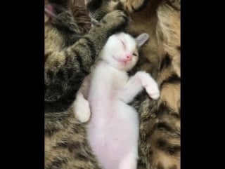 В обнимку со своей крошкой