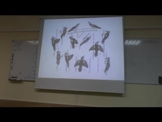 Владимир фридман инстинкт