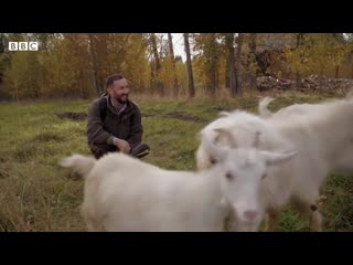 [хватит молчать!] новым мэром стала школьный сторож!