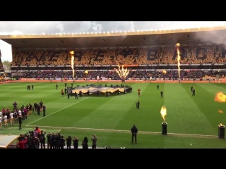Wow this is quite something wwfc