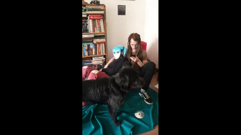 Салли и ларри хуи пиналли