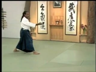 Aikido ukemi meeting the mat