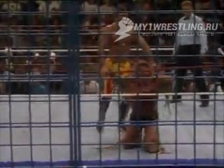 Wwf summerslam 1990 the ultimate warrior vs rick rude (steel cage match for the wwf championship)