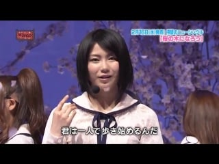 Sakura no ki ni karou yokoyama yui (akbingo)